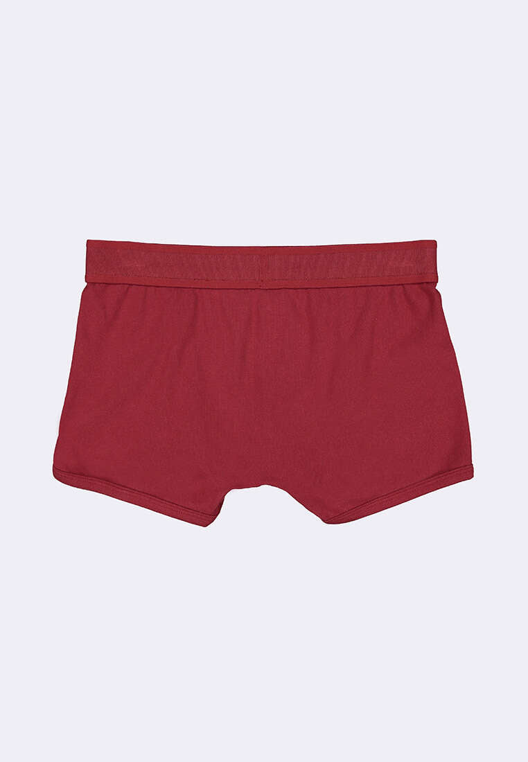 Men's Boxer Brief