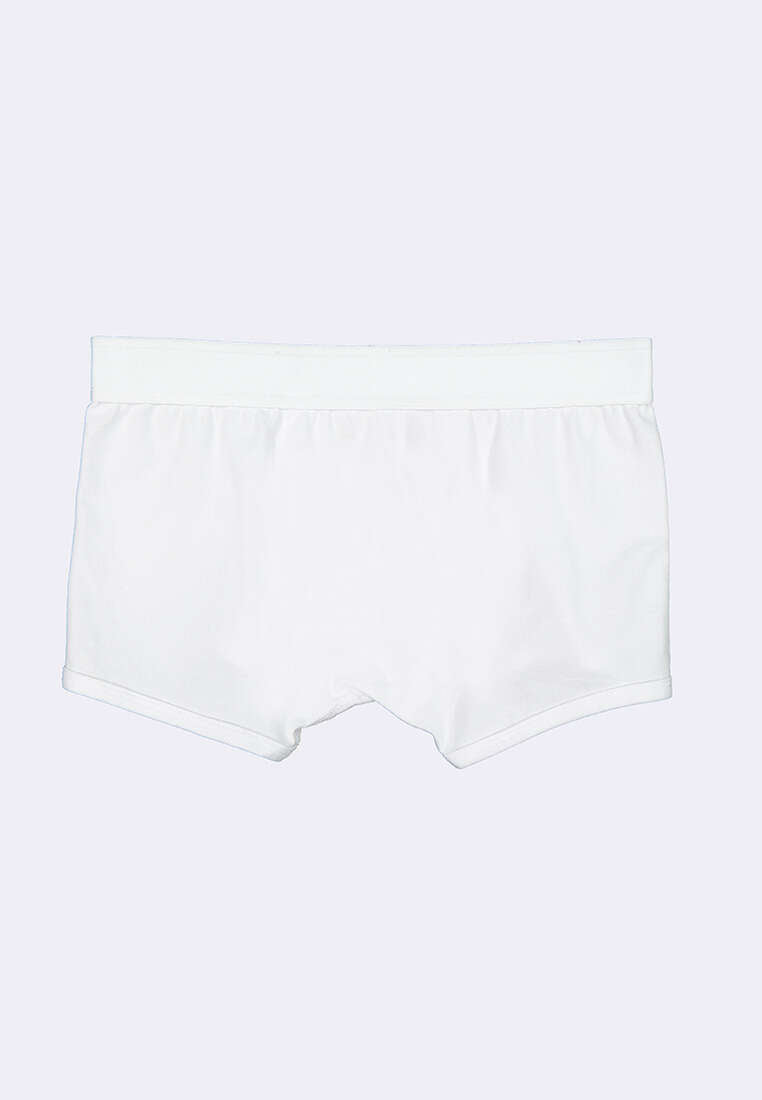 Men's Boxer Brief