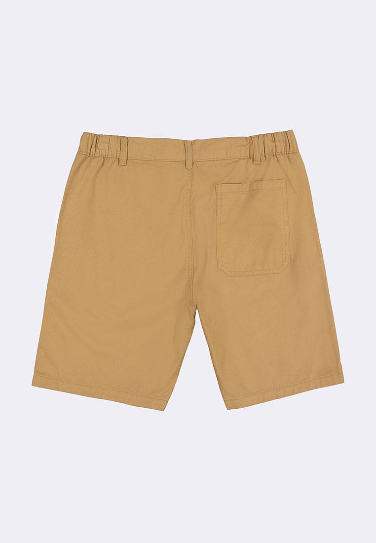 Men's Basic Walking Shorts