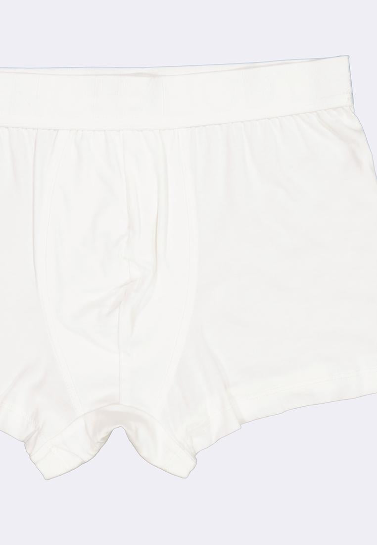 Men's Boxer Brief