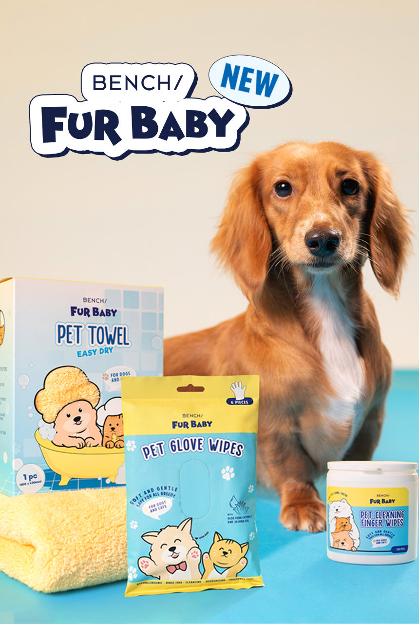 Hero_Banner_FurBaby_860x1280_db2ef631-7cf9-4934-b004-52f90830d1ea.jpg