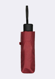 Foldable Umbrella
