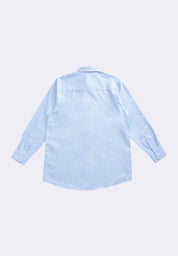 Men's Regular Long Sleeve Shirt