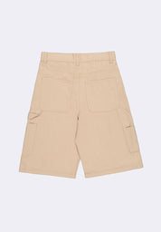 Men's Walking Shorts