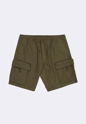 Men's Walking Shorts