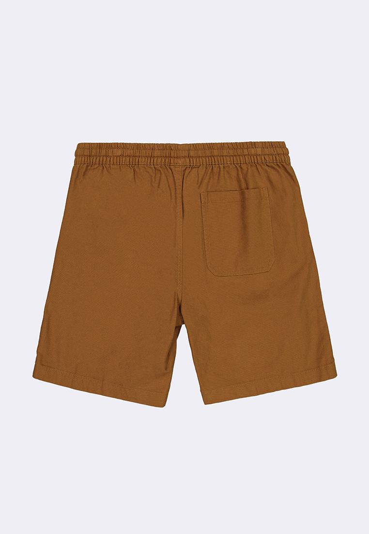 Men's Walking Shorts