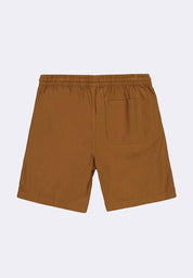 Men's Walking Shorts