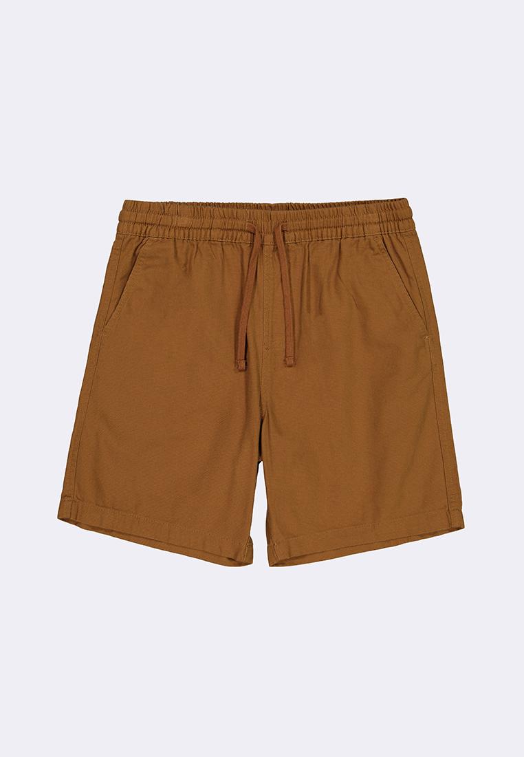 Men's Walking Shorts