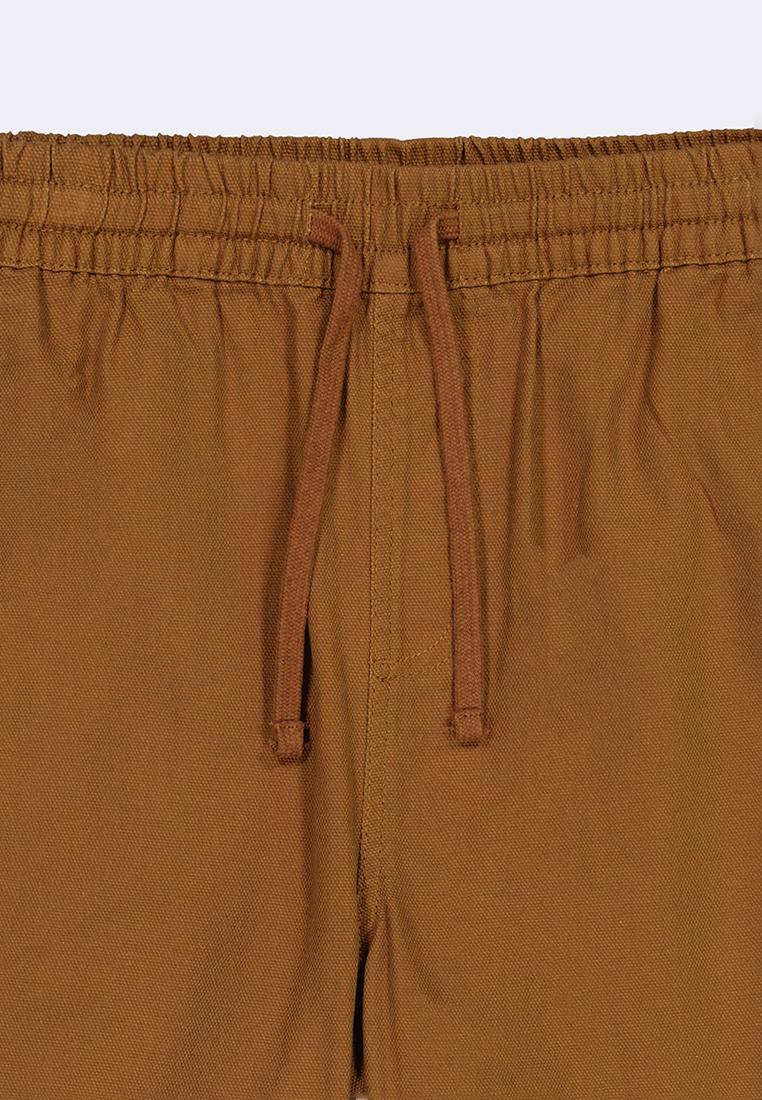 Men's Walking Shorts
