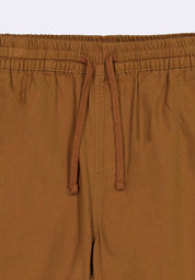 Men's Walking Shorts