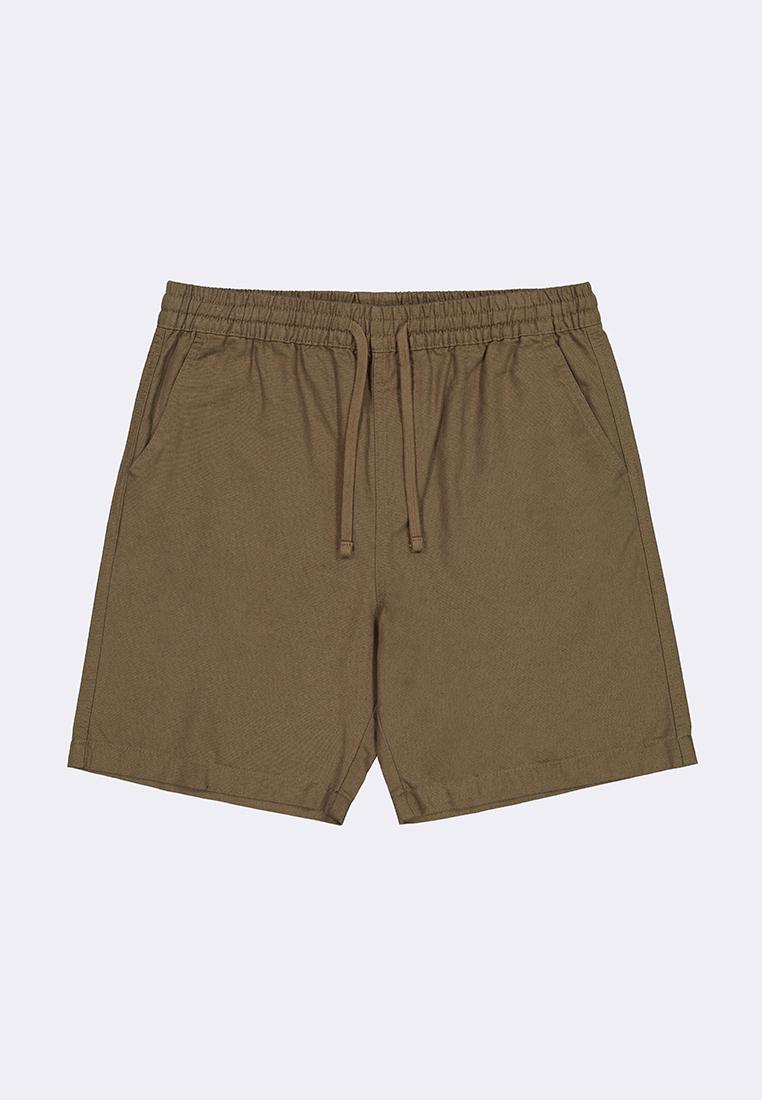 Men's Walking Shorts