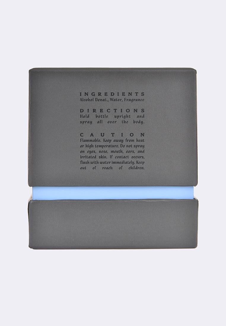 David Licauco Into the Haze EDT 100ml