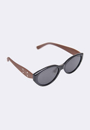 Sunglasses With Plastic Frame