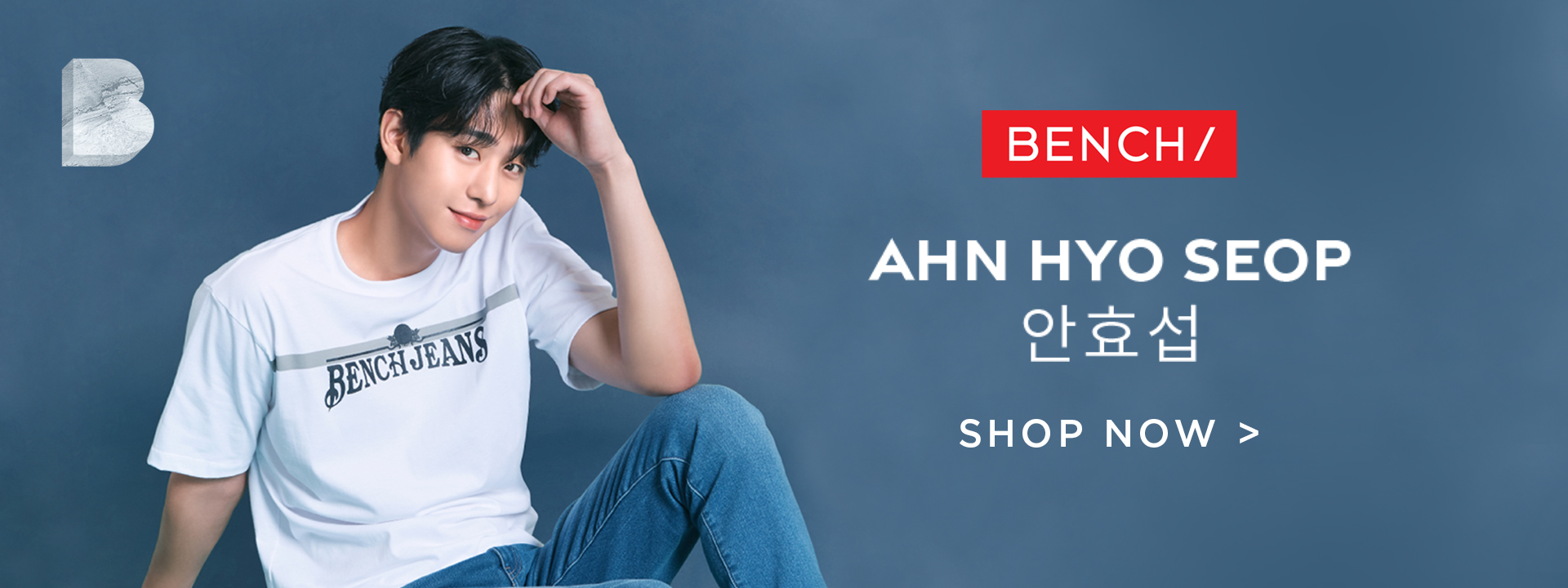 Homepage-Web-Ahn Hyo Seop